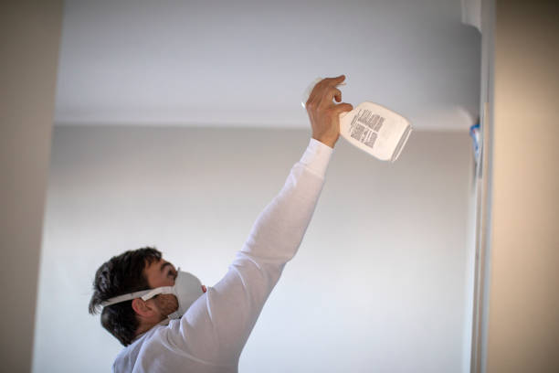 Best Health and Safety Mold Remediation in North Mankato, MN